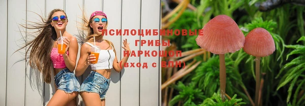 прущие грибы Нягань