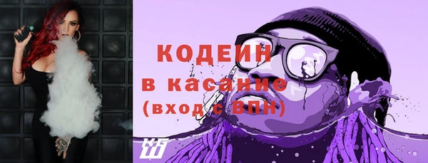 прущие грибы Осташков