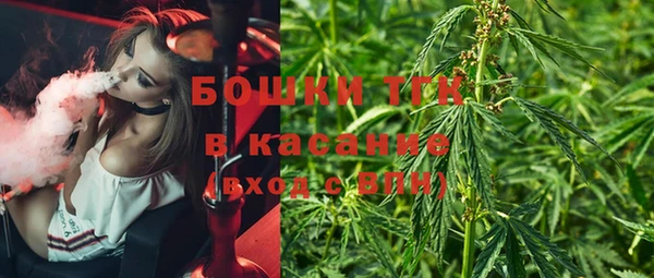 прущие грибы Нягань