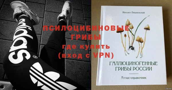 а пвп мука Няндома