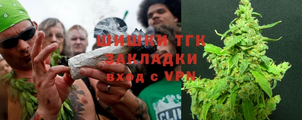 прущие грибы Нягань