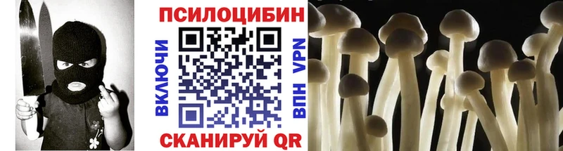 Псилоцибиновые грибы MAGIC MUSHROOMS  закладка  KRAKEN вход  Отрадное 